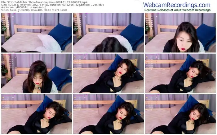 stripchat-wandahanks-11-22-2024-09-03-23