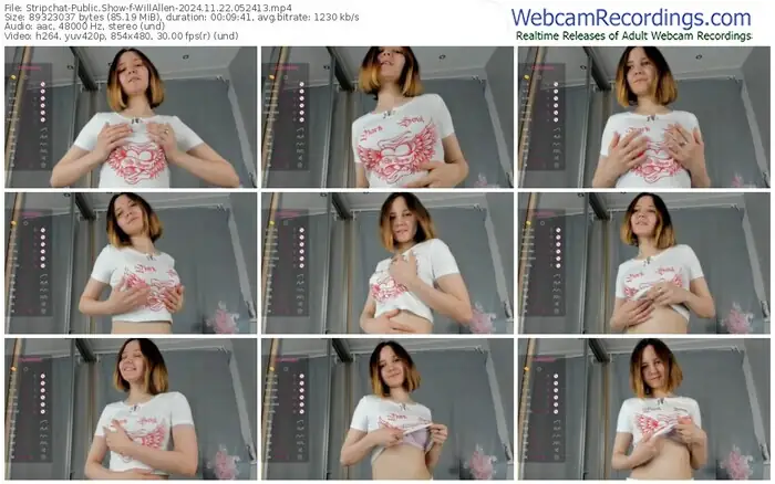 stripchat-willallen-11-22-2024-05-24-13