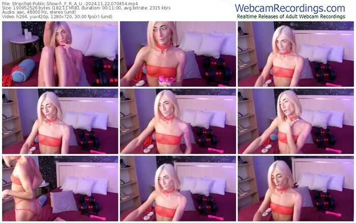 stripchat-_f_r_a_u_-11-22-2024-07-04-54