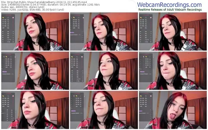 stripchat-arielabradberry-11-22-2024-14-51-45