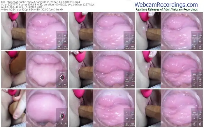 stripchat-danigirl866-11-22-2024-18-00-31