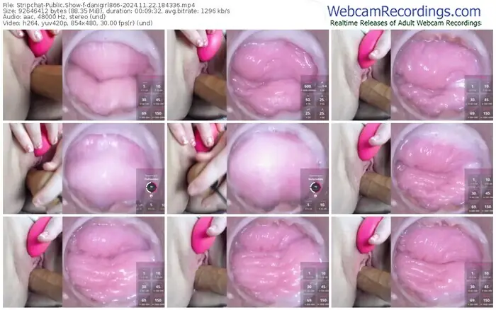 stripchat-danigirl866-11-22-2024-18-43-36