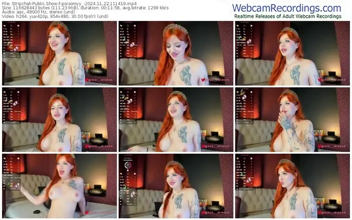 stripchat-poisonivy_-11-22-2024-11-14-19