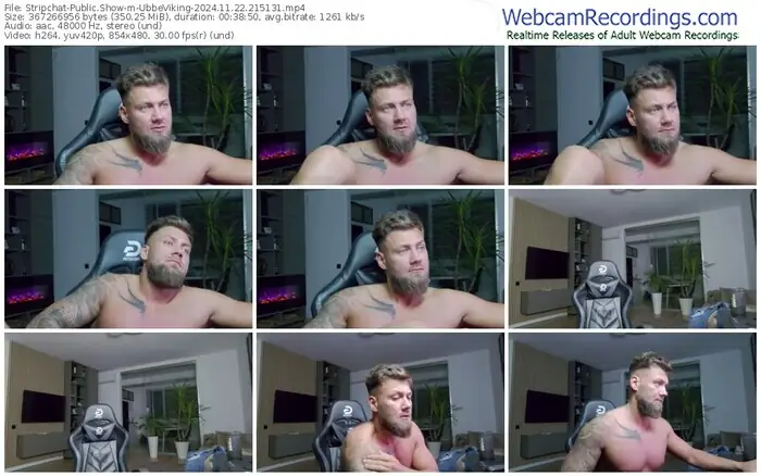 stripchat-ubbeviking-11-22-2024-21-51-31
