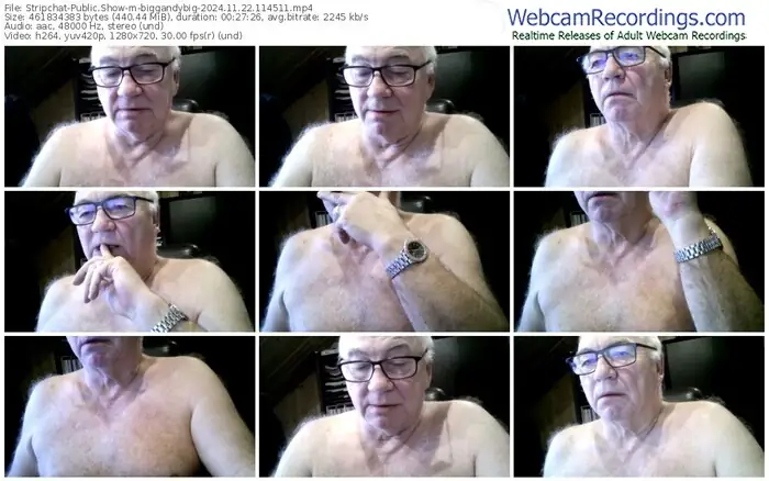 stripchat-biggandybig-11-22-2024-11-45-11