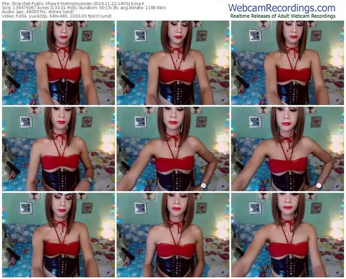 stripchat-hothornyasian-11-22-2024-14-05-19
