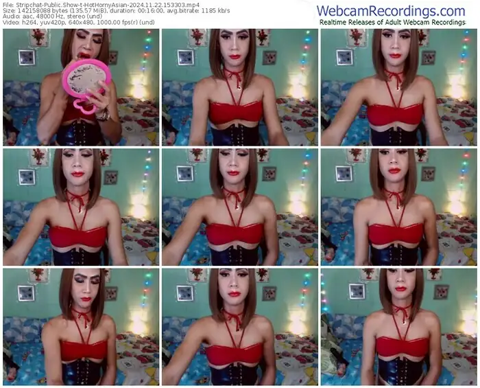 stripchat-hothornyasian-11-22-2024-15-33-03