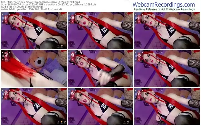 stripchat-normalanee-11-22-2024-20-12-04