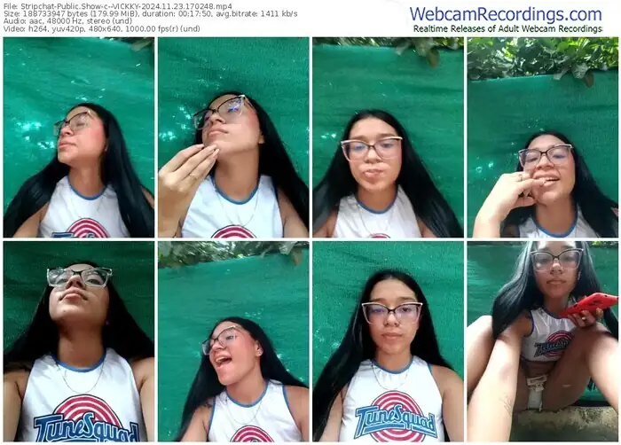 stripchat--vickky-11-23-2024-17-02-48
