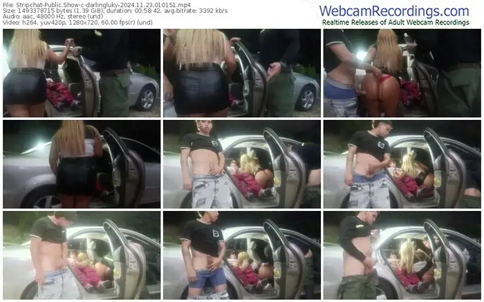 stripchat-darlingluky-11-23-2024-01-01-51