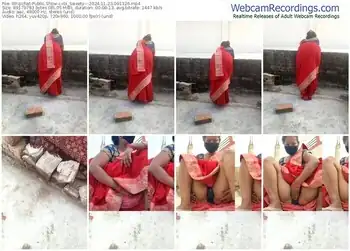 stripchat-its_sweety---11-23-2024-09-13-26