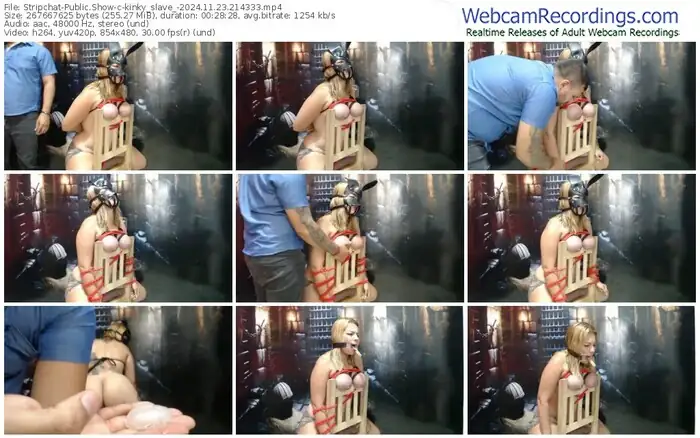 stripchat-kinky_slave_-11-23-2024-21-43-33