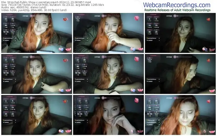 stripchat-secretarysquirt-11-23-2024-08-38-57