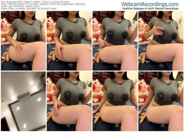 stripchat---nara---11-23-2024-01-01-04