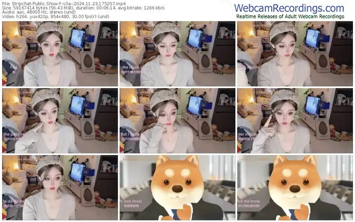 stripchat--ula--11-23-2024-17-52-57