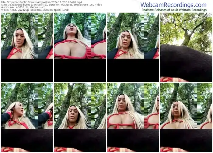 stripchat-amywillss-11-23-2024-17-04-20