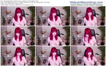 stripchat-asa_u-11-23-2024-13-33-07