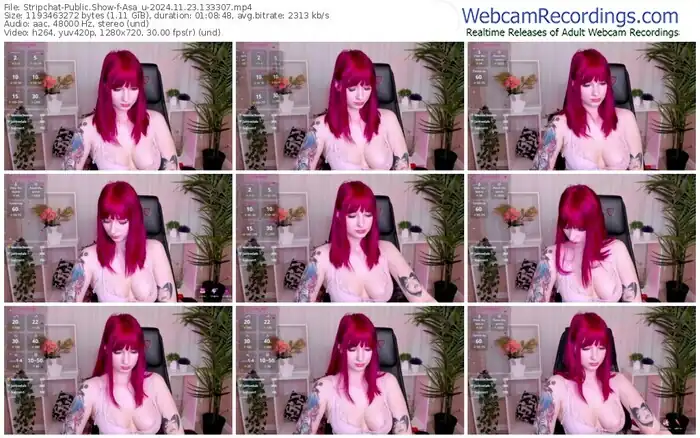 stripchat-asa_u-11-23-2024-13-33-07