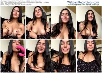 stripchat-daphneuwu-11-23-2024-19-44-05