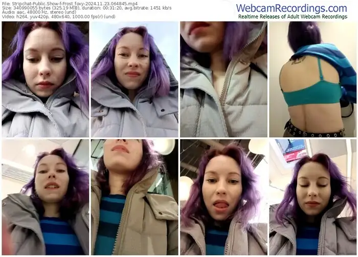 stripchat-frost_foxy-11-23-2024-06-48-45