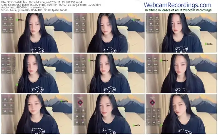 stripchat-irene_aa-11-23-2024-18-27-53