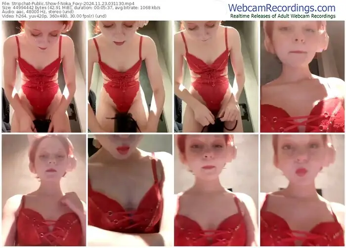 stripchat-noka_foxy-11-23-2024-03-11-30