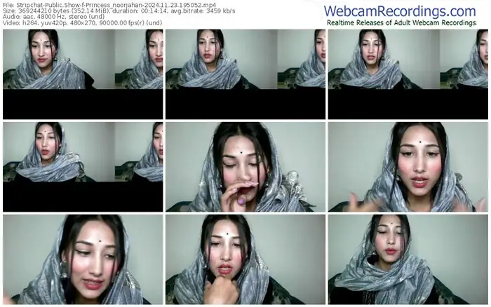 stripchat-princess_noorjahan-11-23-2024-19-50-52