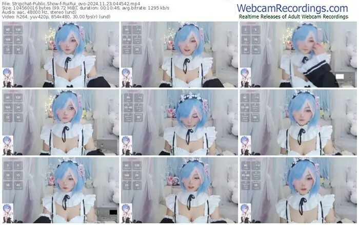 stripchat-ruirui_ovo-11-23-2024-04-45-42