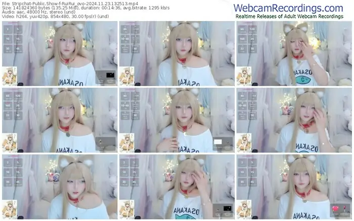 stripchat-ruirui_ovo-11-23-2024-13-25-13