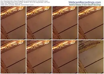 stripchat-thegirlfromviainternet-11-23-2024-03-25-57