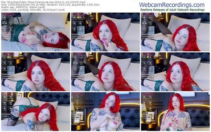 stripchat-veronicalane-11-23-2024-10-33-37