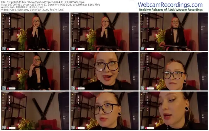 stripchat-vortexproject-11-23-2024-18-05-45