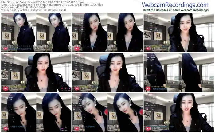 stripchat-w-e-n-123-11-23-2024-03-42-02