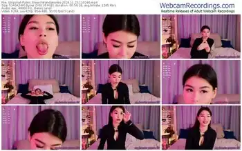 stripchat-wandahanks-11-23-2024-11-02-46