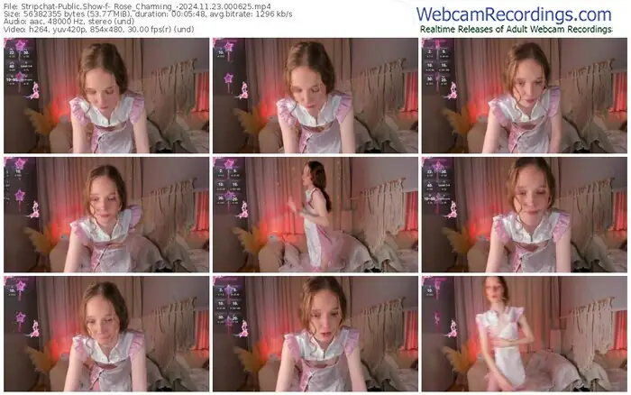 stripchat-_rose_charming_-11-23-2024-00-06-25
