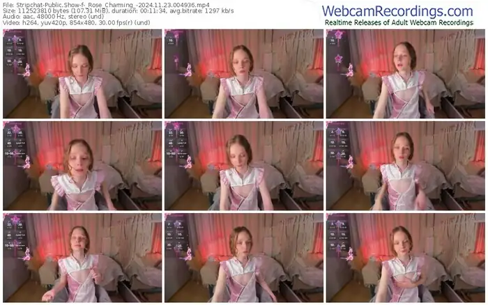 stripchat-_rose_charming_-11-23-2024-00-49-36