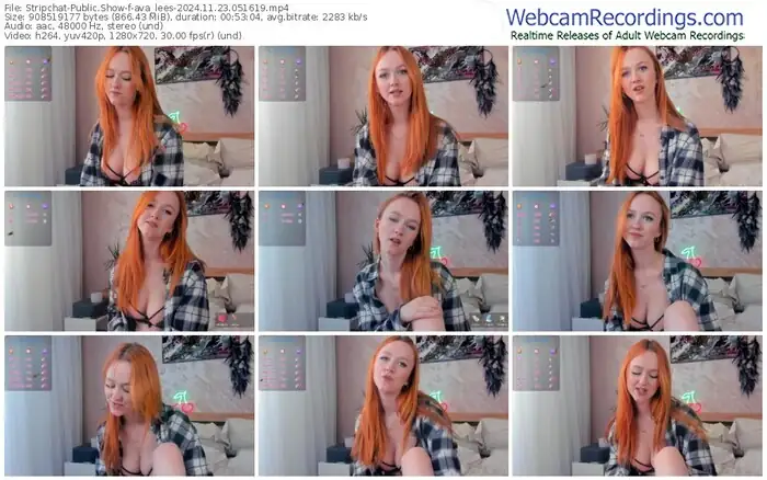 stripchat-ava_lees-11-23-2024-05-16-19