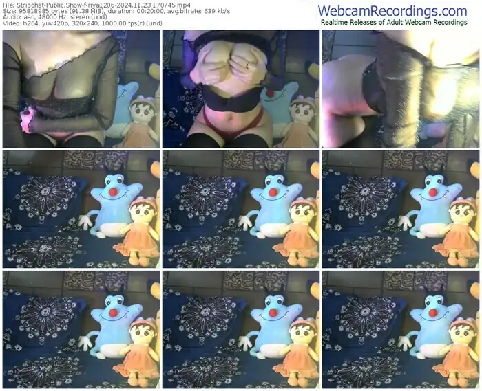 stripchat-riya1206-11-23-2024-17-07-45