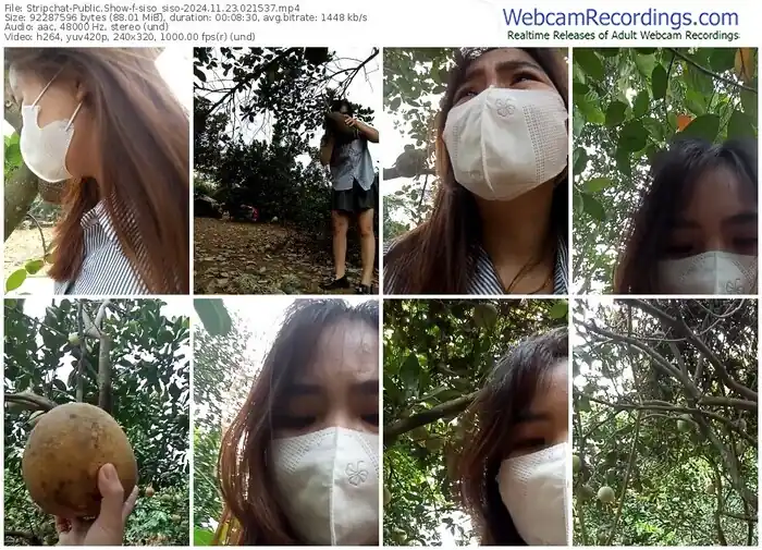 stripchat-siso_siso-11-23-2024-02-15-37