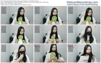 stripchat-who_lilly-11-23-2024-15-07-14