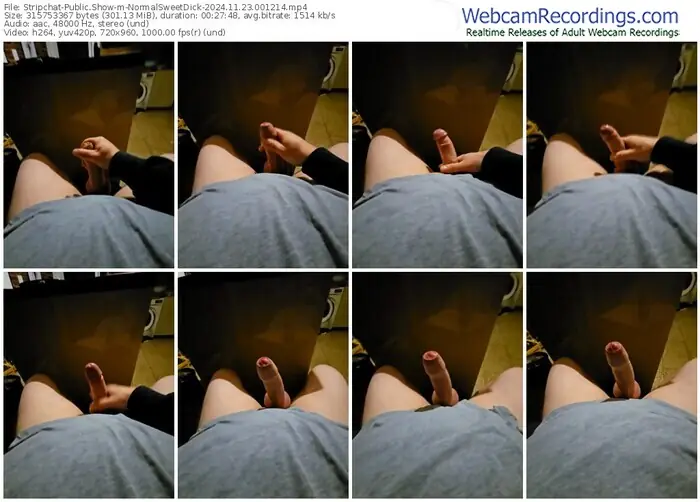 stripchat-normalsweetdick-11-23-2024-00-12-14