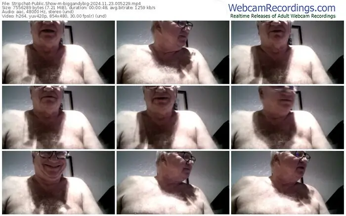 stripchat-biggandybig-11-23-2024-00-52-29