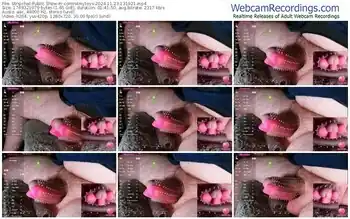 stripchat-controlmytoys-11-23-2024-13-19-21