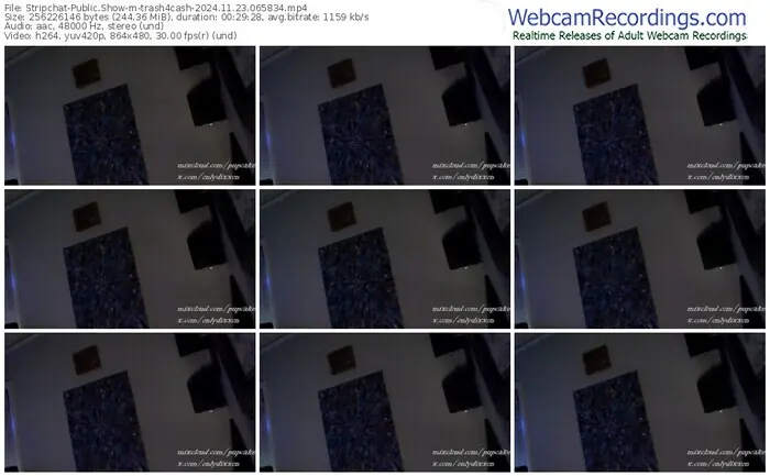 stripchat-trash4cash-11-23-2024-06-58-34