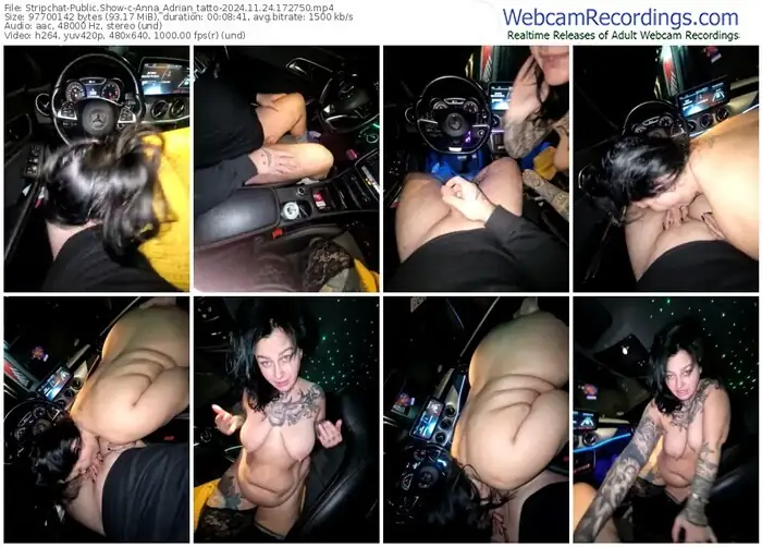 stripchat-anna_adrian_tatto-11-24-2024-17-27-50