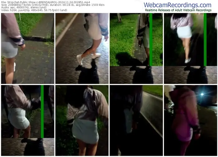 stripchat-brendajarol-11-24-2024-00-28-51