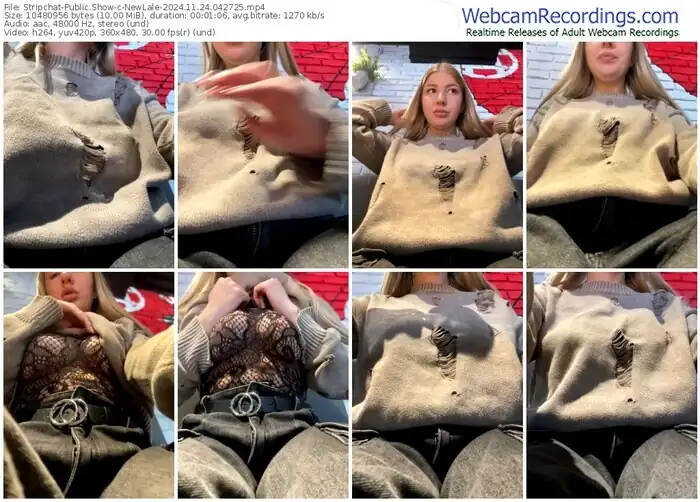 stripchat-newlale-11-24-2024-04-27-25