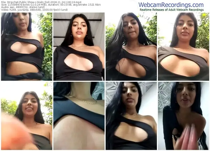stripchat-niels_doll-11-24-2024-12-41-16