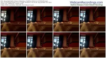 stripchat-pawsitive_panther-11-24-2024-09-39-49