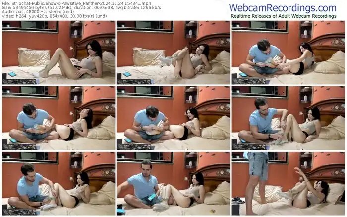 stripchat-pawsitive_panther-11-24-2024-15-43-41